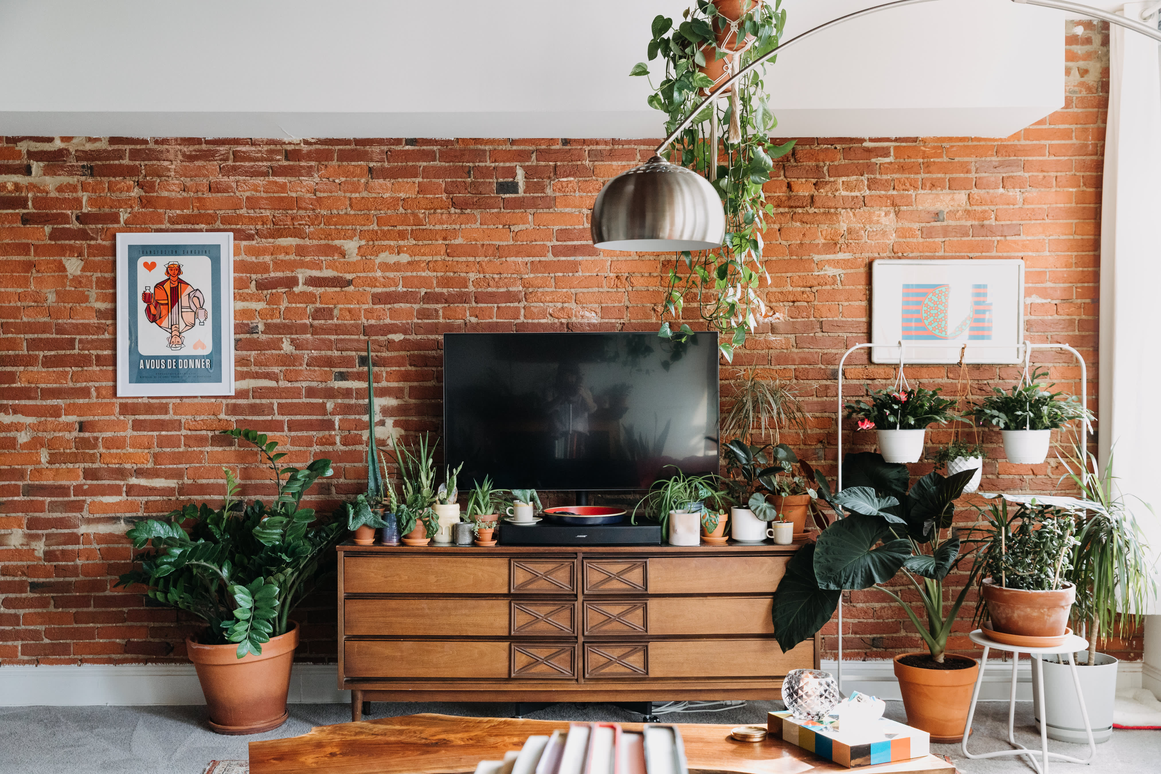 Brick Wall Plant Heavy Philadelphia Apartment Apartment Therapy